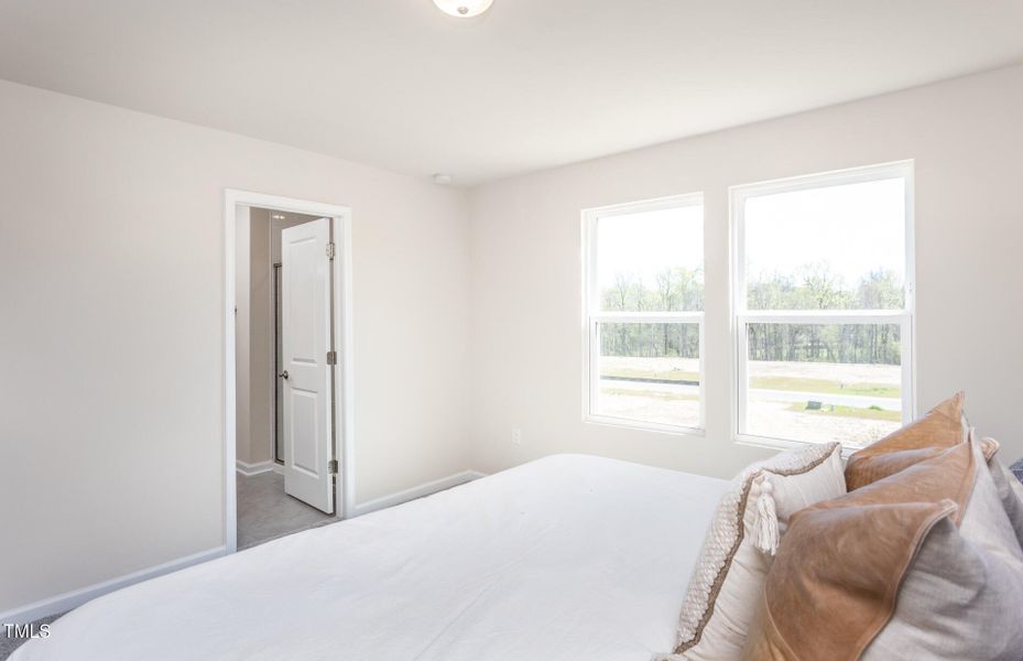 MMOrioleLR013 MMOrioleLR013