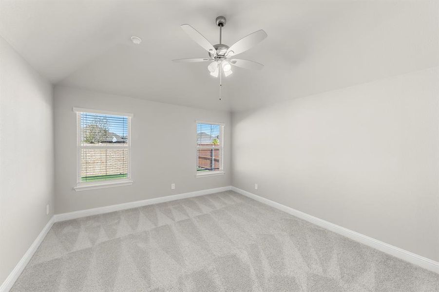 18. 141 Whistling Duck - Primary