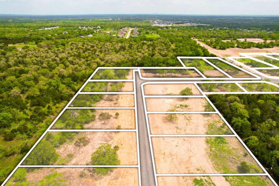 Premium development land with delineated lots, bordered by established natural areas, offers prime building opportunities.