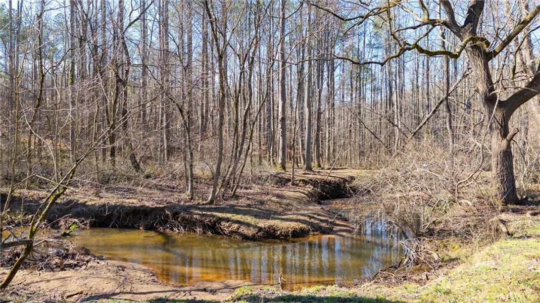Natural landscape and outdoor views near  in Ball Ground (Image 56).
