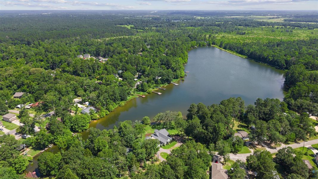 Natural landscape and outdoor views near  in Willis (Image 20).