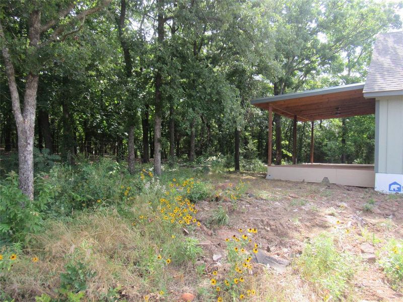 Natural landscape and outdoor views near  in Gainesville (Image 28).