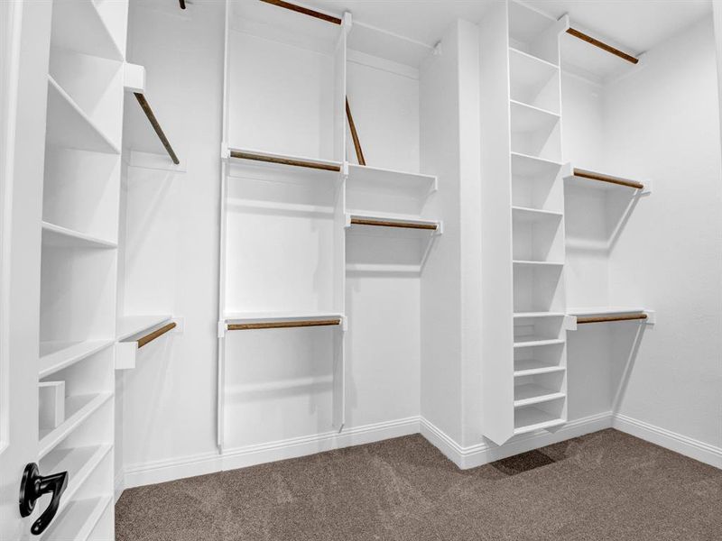 Walk in closet featuring carpet