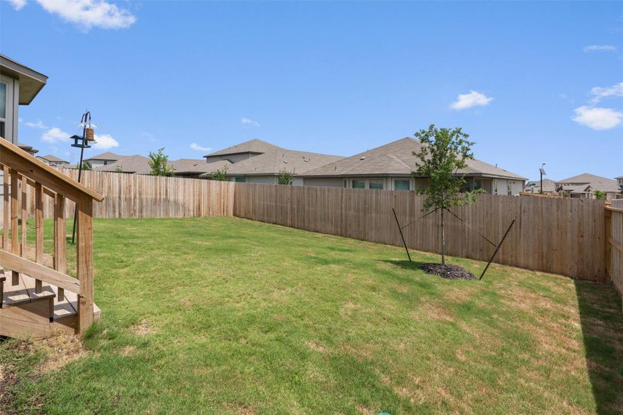 Expansive grass lawn featuring a young tree and full privacy fencing Expansive grass lawn featuring a young tree and full privacy fencing