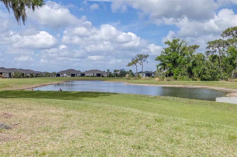 Natural landscape and outdoor views near  in Wesley Chapel (Image 45).