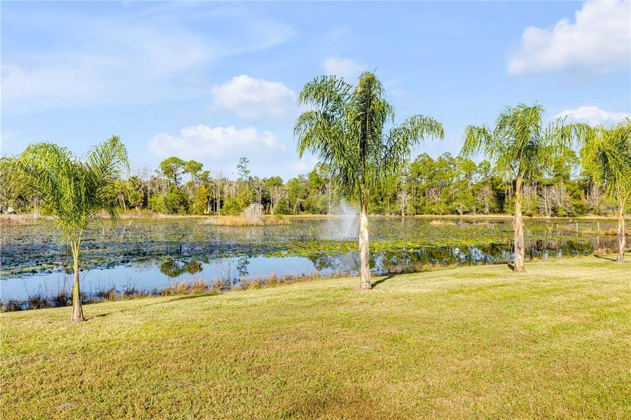 Natural landscape and outdoor views near  in Pierson (Image 28).