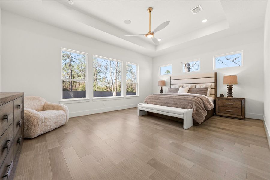 Primary suite with decked ceilings, separate hallway to bathroom.