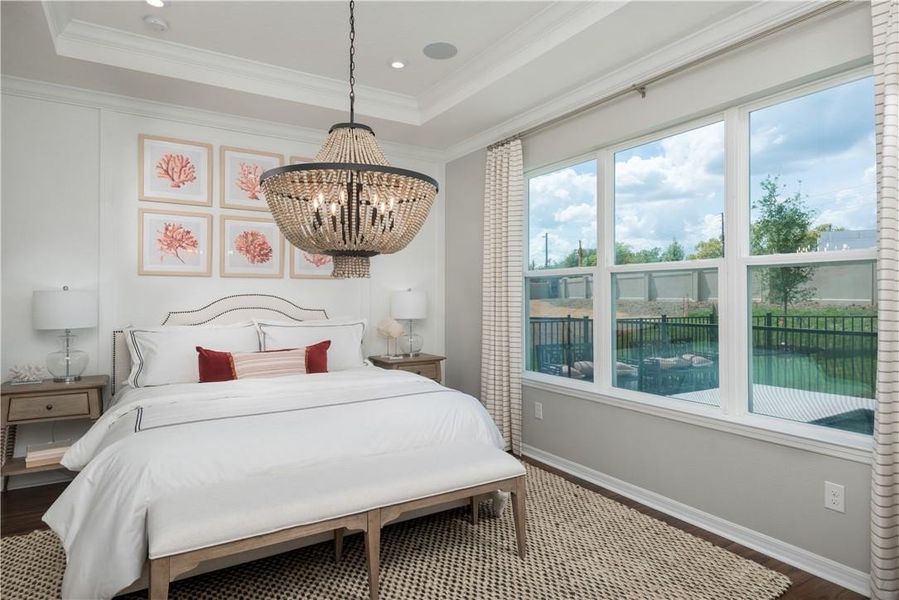 REPRESENTATIVE PHOTOS