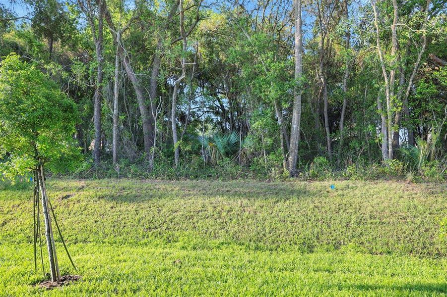 Exterior details and patio area of a home in Seaport Village, Tavares (Image 2).