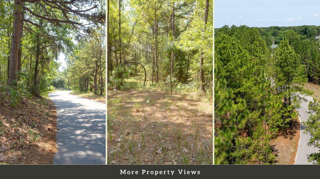 Natural landscape and outdoor views near  in Eutawville (Image 32).