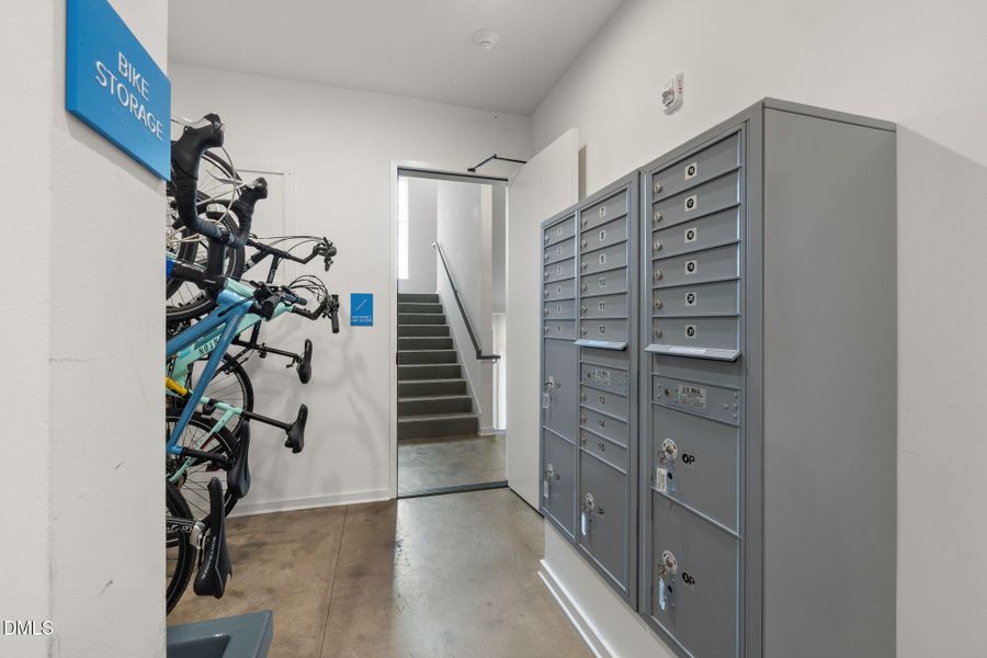 33-web-or-mls-DX3A8725