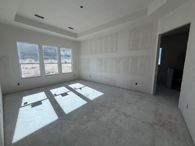 Empty room with a tray ceiling