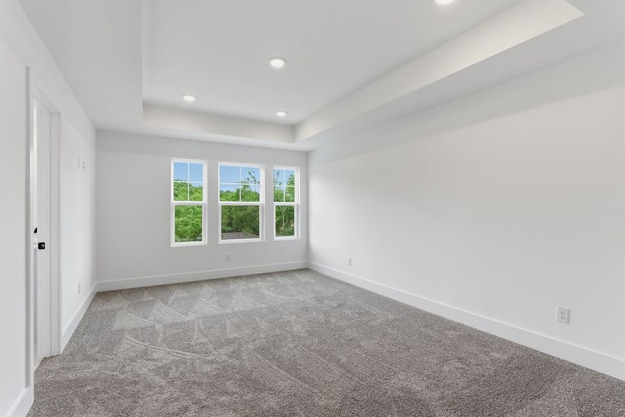 A room with a carpet and windows.