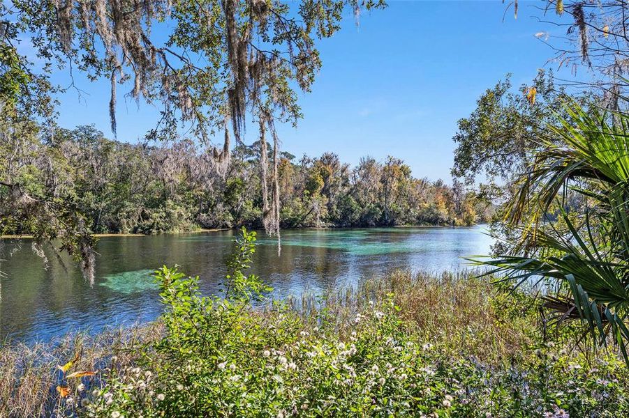 Natural landscape and outdoor views near  in Dunnellon (Image 42).