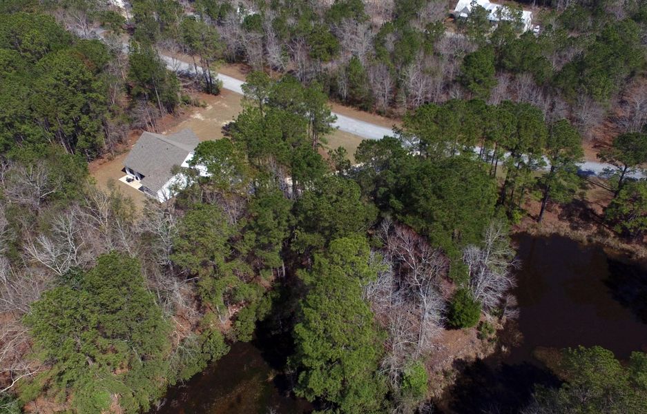 Natural landscape and outdoor views near  in Awendaw (Image 53).