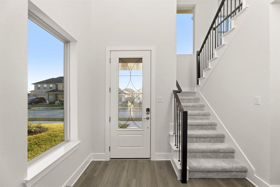 03. 3124 Lenten Rose - Entry