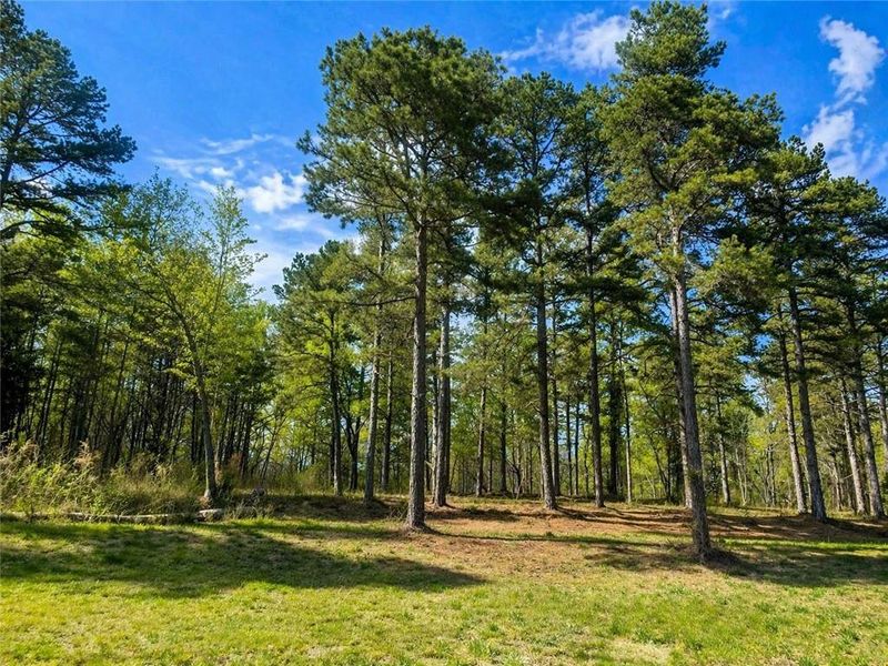 Natural landscape and outdoor views near  in Martin (Image 14).