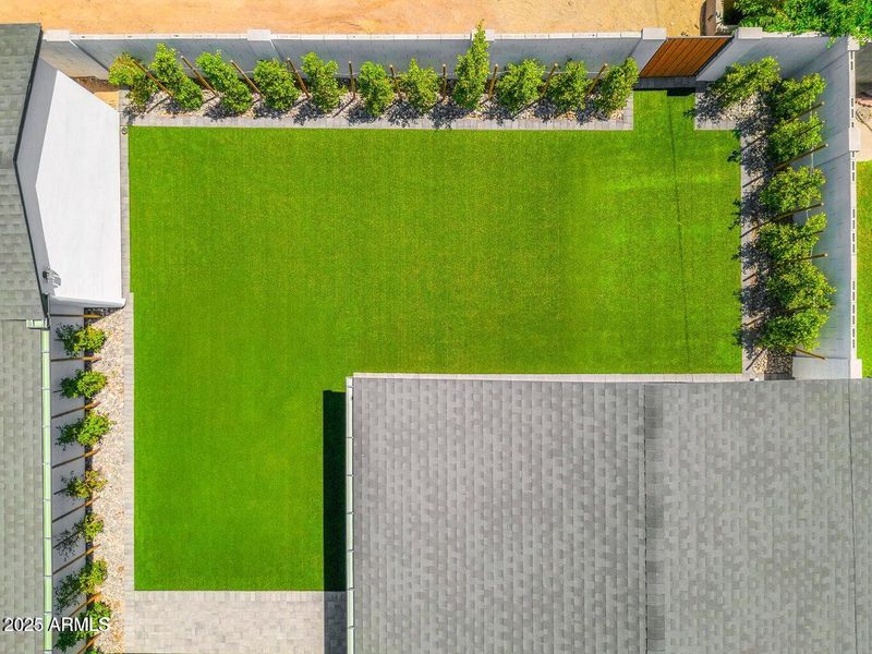 backyard overview
