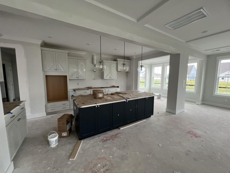 In-progress construction of a new home in Lochton, Summerville, SC (Image 31). In-progress construction of a new home in Lochton, Summerville, SC (Image 31).