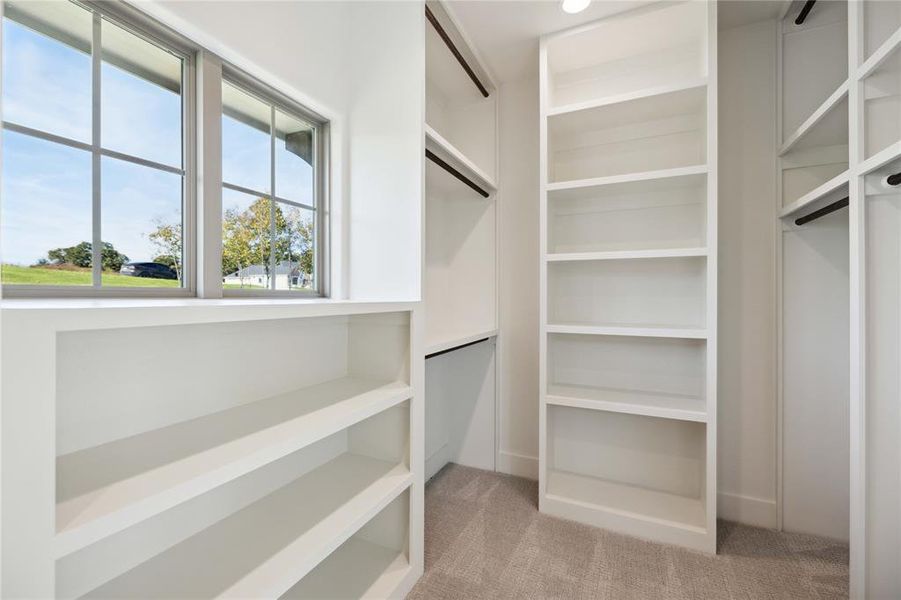 Walk in closet with light colored carpet