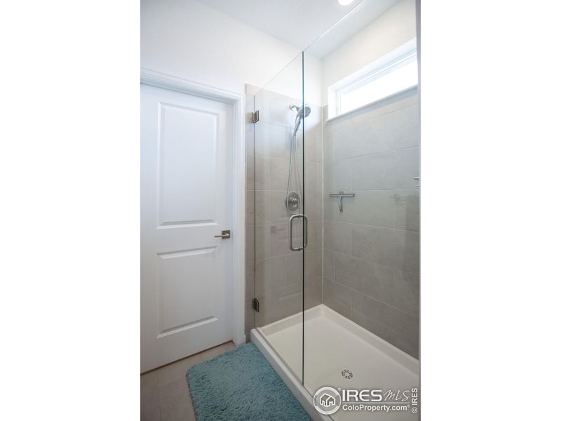 Primary Bathroom Shower