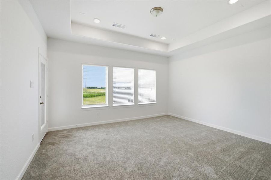 Spacious room featuring light gray carpet, white walls, a tray ceiling with recessed lighting, and three windows overlooking a green landscape