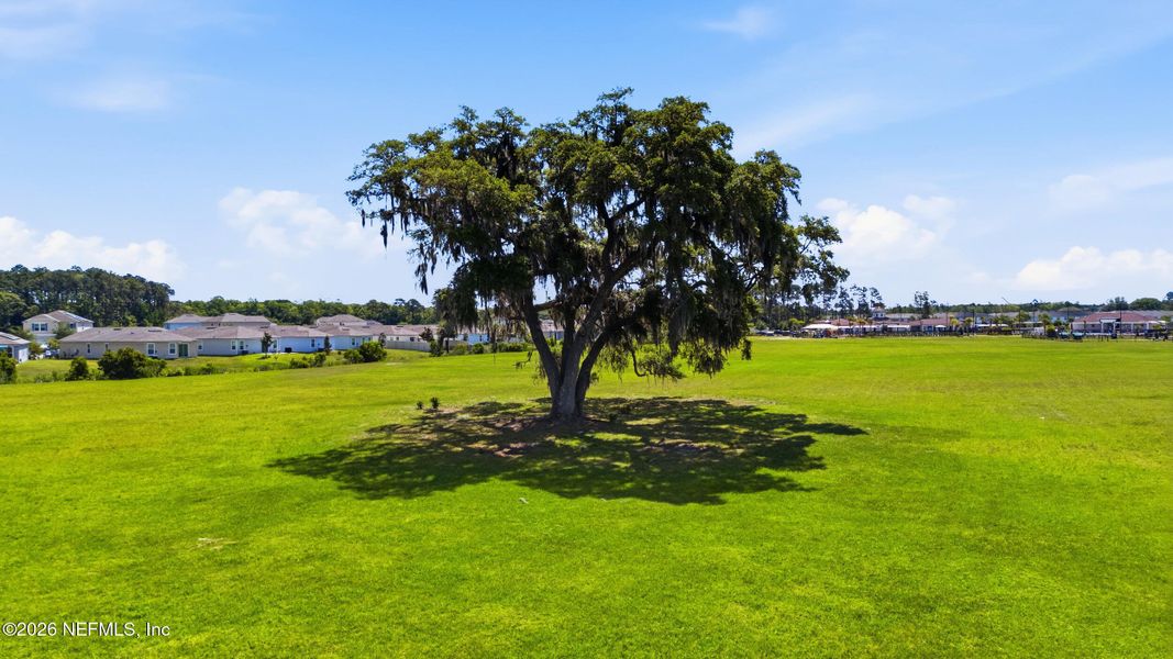 Natural landscape and outdoor views near  in St. Augustine (Image 69).