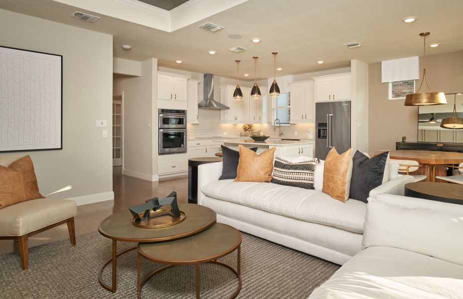 Open Concept Living Areas