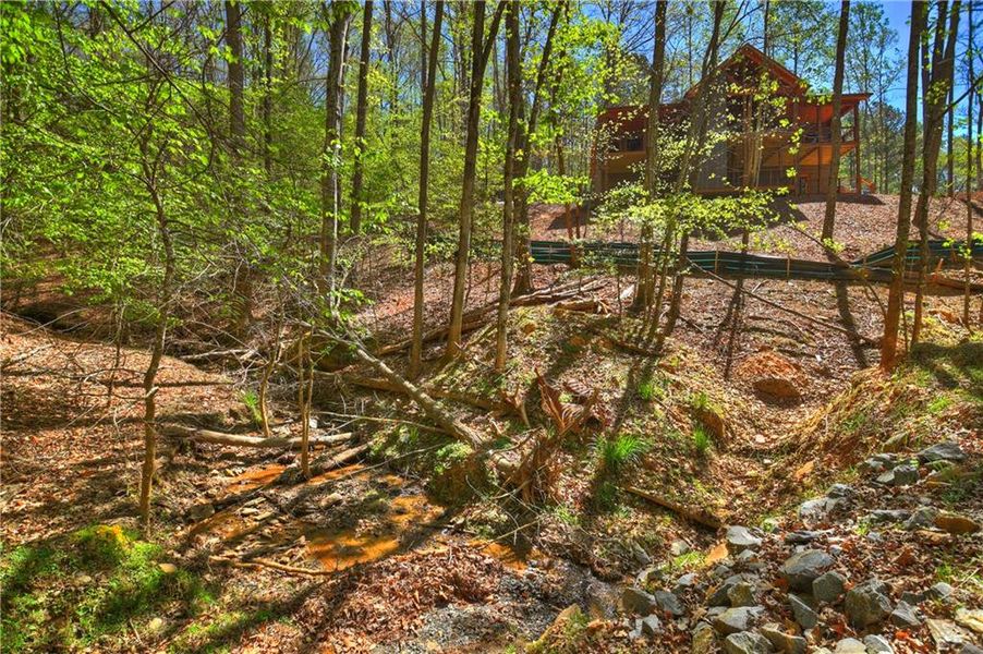 Natural landscape and outdoor views near  in Ellijay (Image 50).