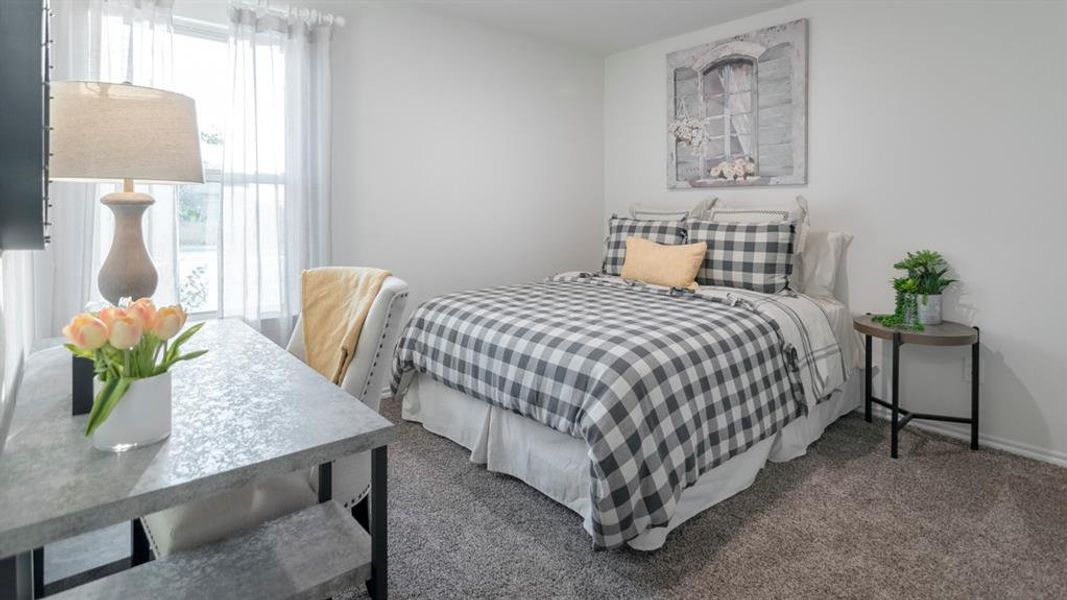 Bright interior room featuring a window with sheer white coverings, neutral wall paint, and gray textured carpeting Bright interior room featuring a window with sheer white coverings, neutral wall paint, and gray textured carpeting