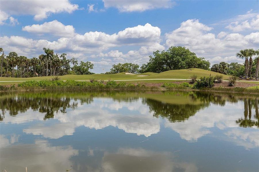 Natural landscape and outdoor views near  in Fort Myers (Image 29).
