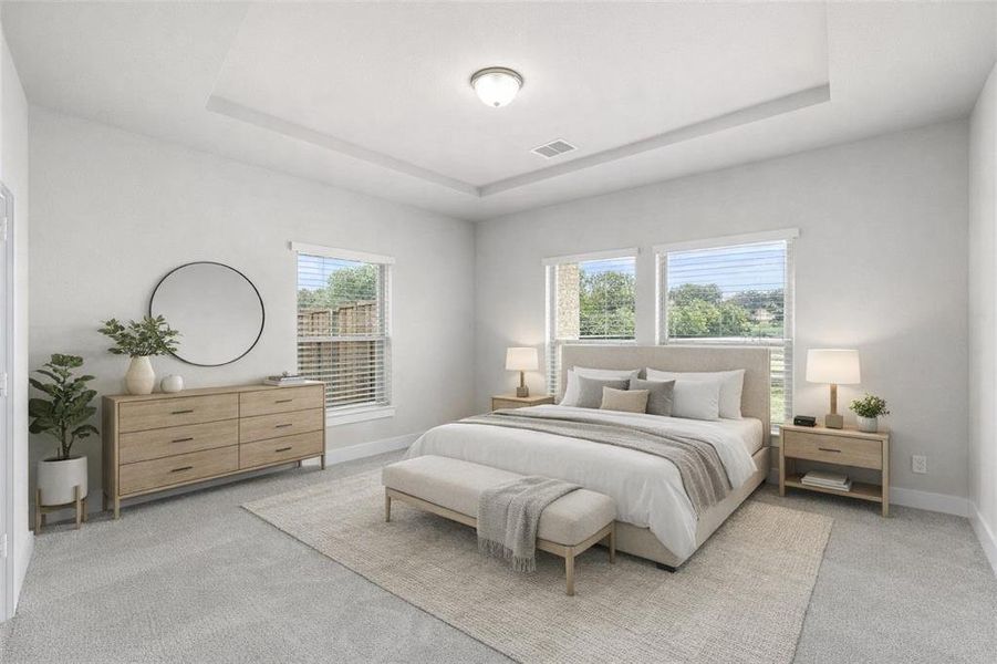 Spacious room featuring multiple windows, a tray ceiling, light gray carpeting, and neutral paint finishes Spacious room featuring multiple windows, a tray ceiling, light gray carpeting, and neutral paint finishes