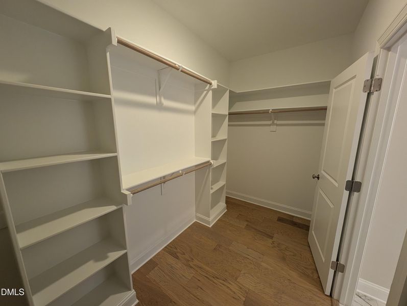 PXL_20251120_142933470 PXL_20251120_142933470