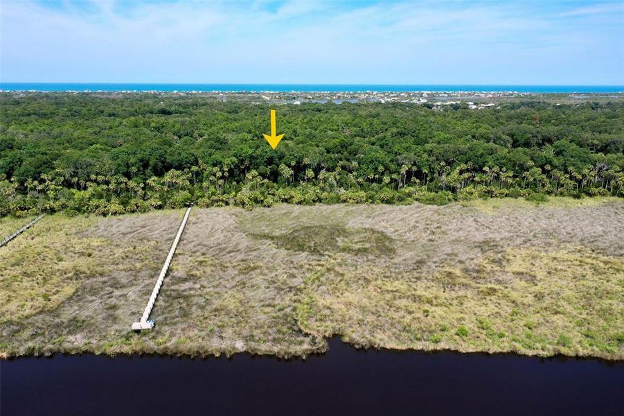 Natural landscape and outdoor views near in Flagler Beach (Image 77). Natural landscape and outdoor views near in Flagler Beach (Image 77).