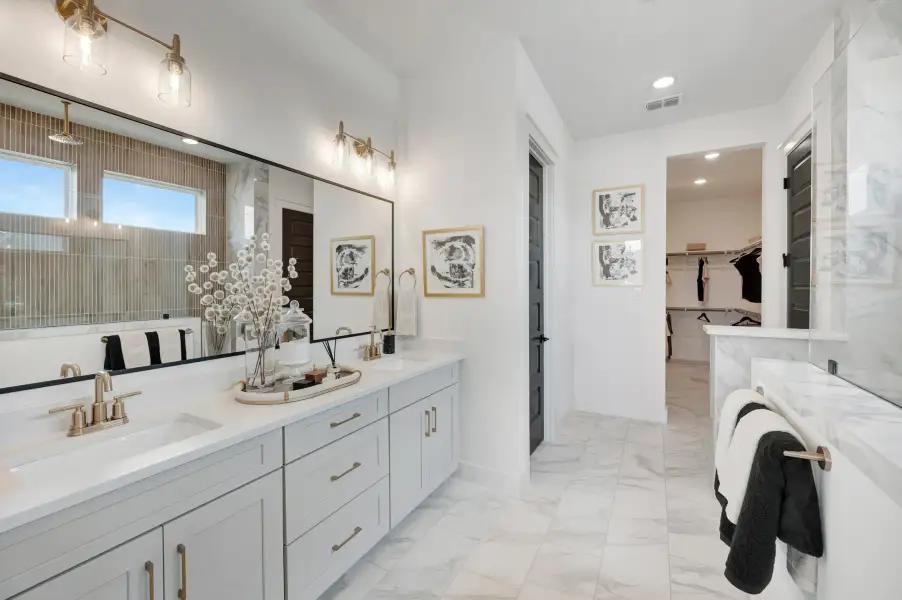 Owner's Bath