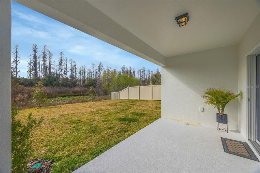 Exterior details and patio area of a home in , Zephyrhills (Image 31).