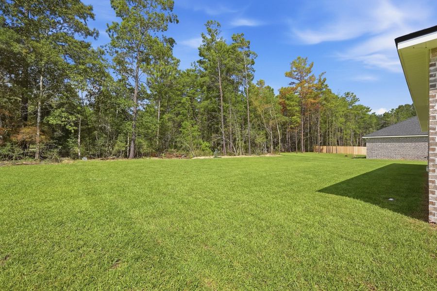 6116 mildreds wy-45
