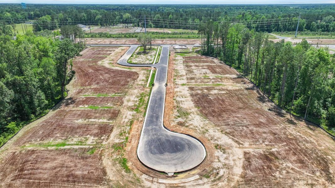 Site preparation for new homesites in Pineview North, Summerville (Image 25).
