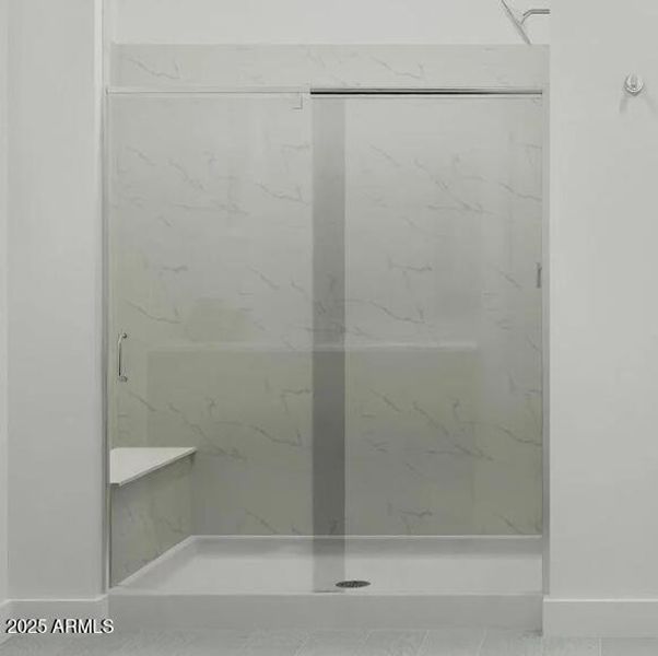 Owners Walk in Shower