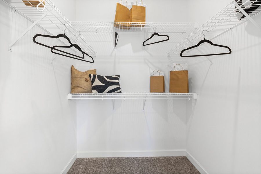 A cat lying on a shelf.