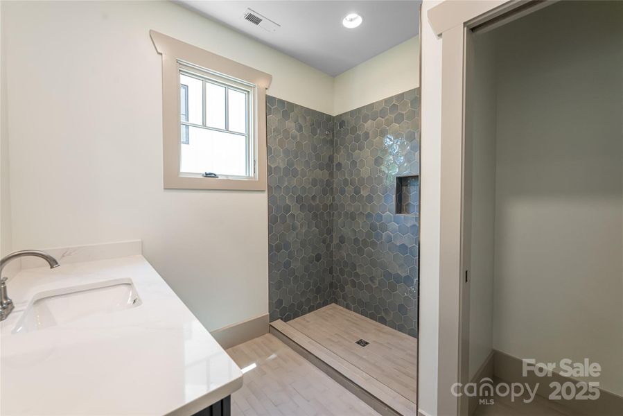 Lower level bathroom Lower level bathroom