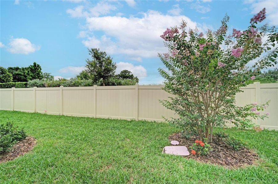 Exterior details and patio area of a home in Crosswind Point, Parrish (Image 3).