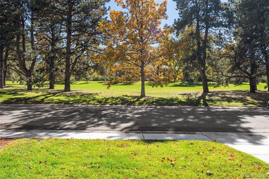 Coveted Open Park Views!