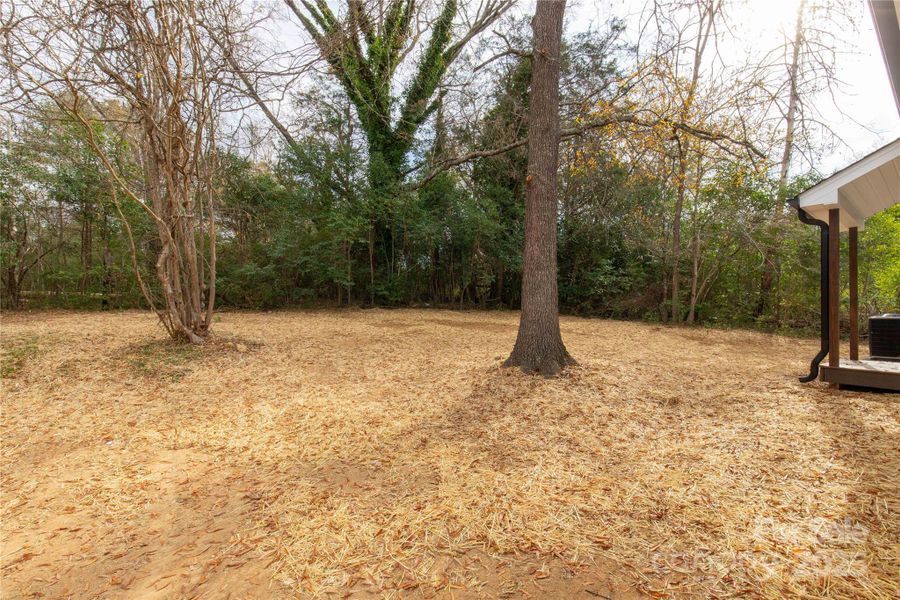 Natural landscape and outdoor views near  in Chester (Image 34).