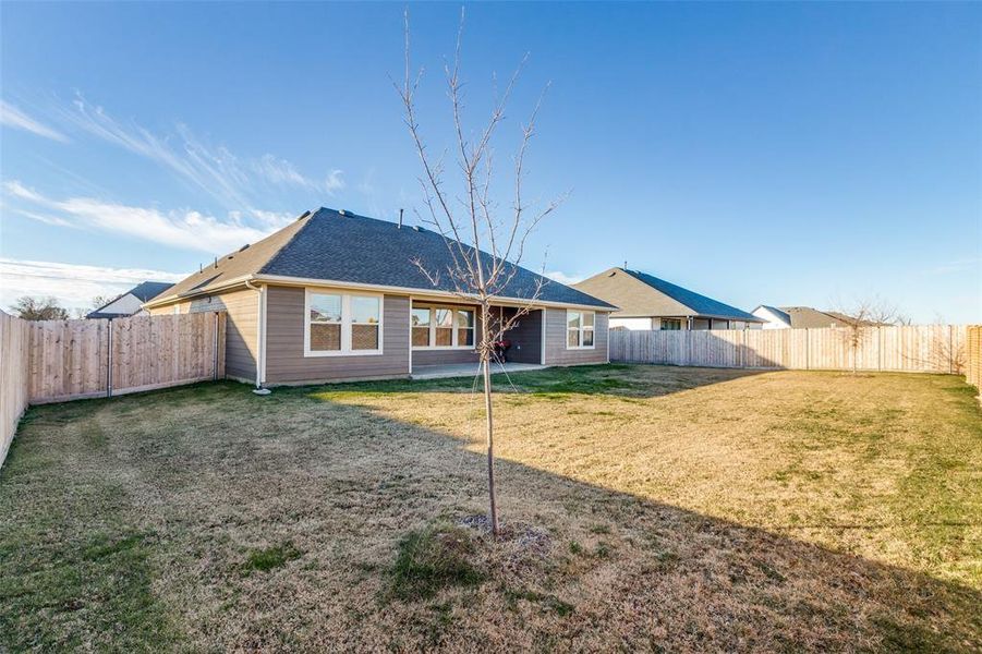 Rear view of property with a lawn