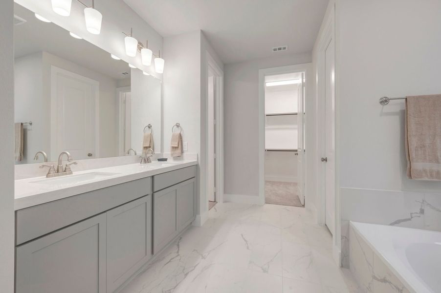 Owner's Bathroom
