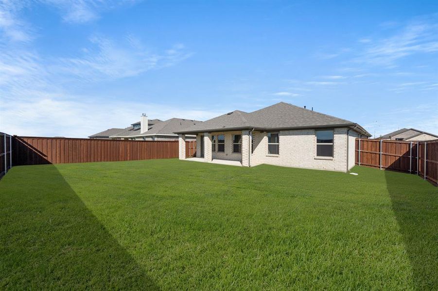 733 Scarlet Sage- Back-1 733 Scarlet Sage- Back-1