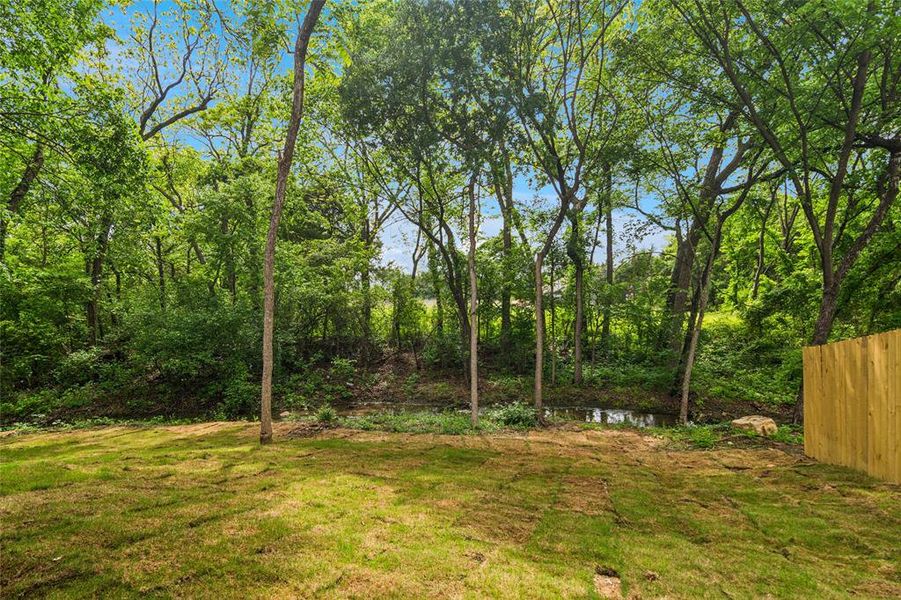 Natural landscape and outdoor views near  in Glenn Heights (Image 34).