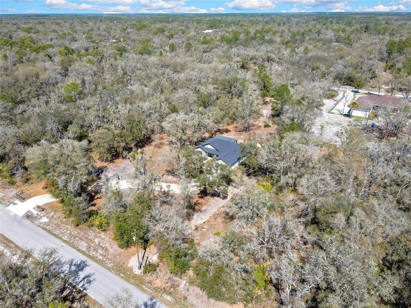 Natural landscape and outdoor views near  in Crystal River (Image 57).