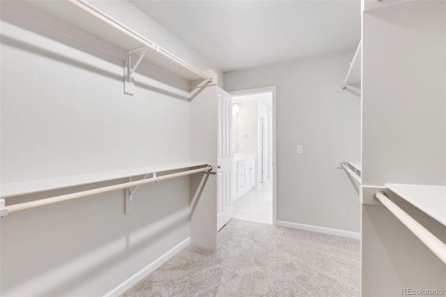 Spacious, unfurnished interior of a new home in Cherry Meadows, Brighton (Image 27).